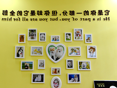 1544080722149512.jpg 400 300 (24).jpg