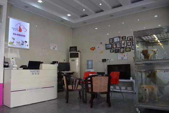 开宠物店成功后怎么宣传比较好 开宠物店成功后怎么宣传比较好