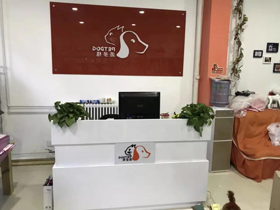 开宠物店,宠物店加盟排行榜 开宠物店,宠物店加盟排行榜